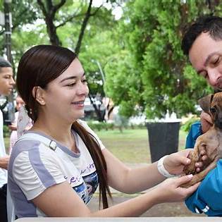 Voluntariado Huellitas en campañas de adopción